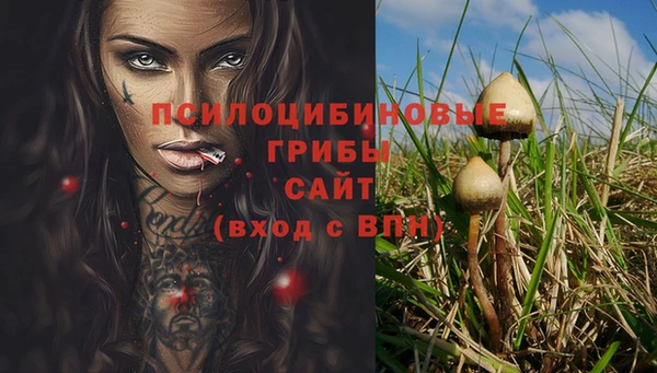 мяу мяу мука Нязепетровск