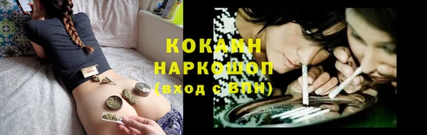 хмурый Богородицк