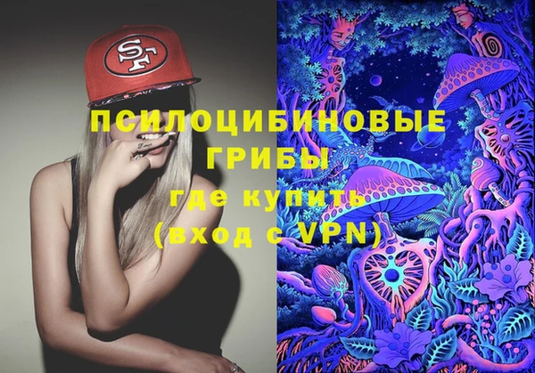 хмурый Богородицк