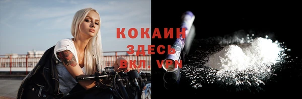 мдпв Богданович
