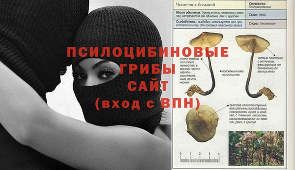 хмурый Богородицк